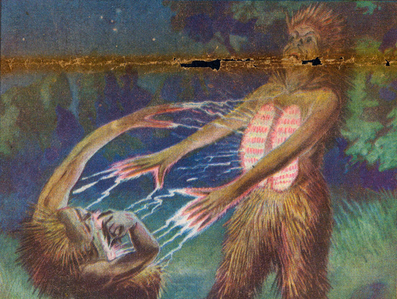 Illustration for article titled The Bizarre, Human-Animal Hybrids Imagined in the 1930s